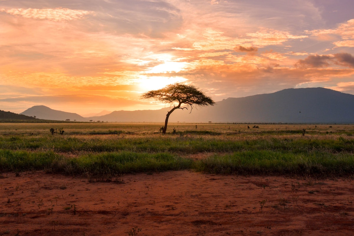 East African landscape near mineral regions